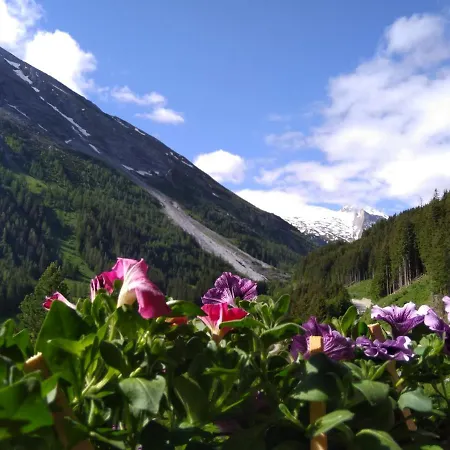 Oda ve Kahvaltı Haus Markus